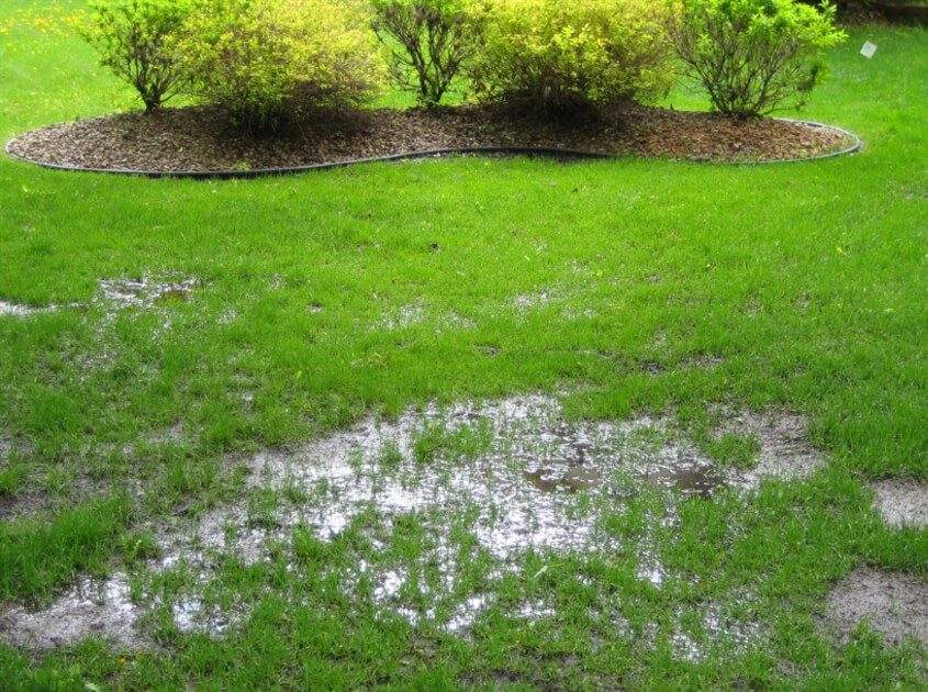 msr-landscape-yard-drainage-in-pomona-ca