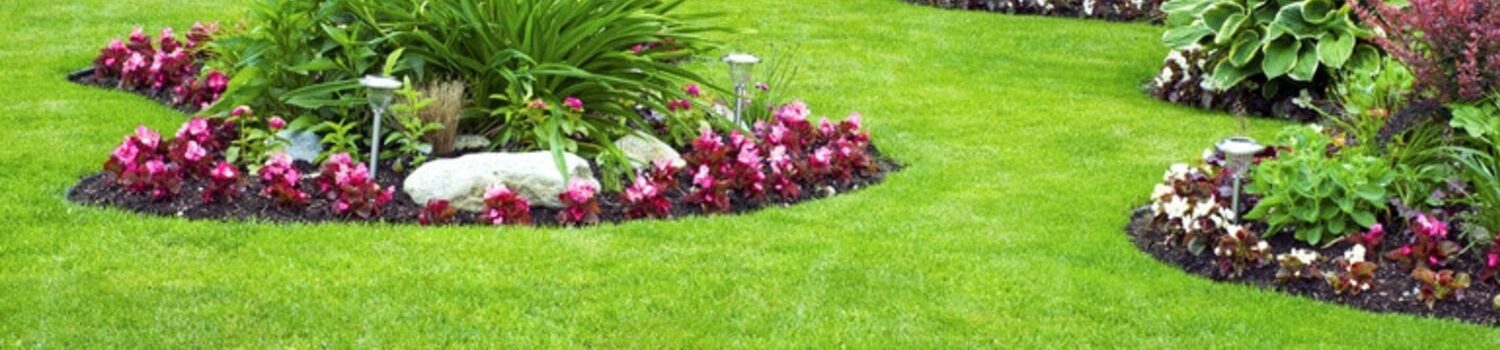 landscaping-services-in-moreno-valley